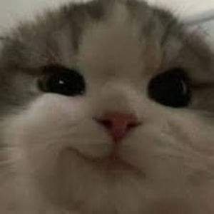 Meet your Posher, Adam